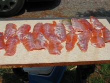 fish-filets.jpg